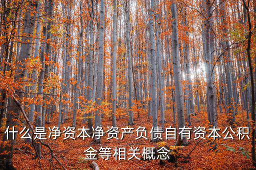 什么是凈資本凈資產負債自有資本公積金等相關概念