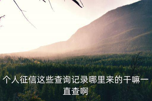 有些人大量查詢征信干什么，查征信有啥用
