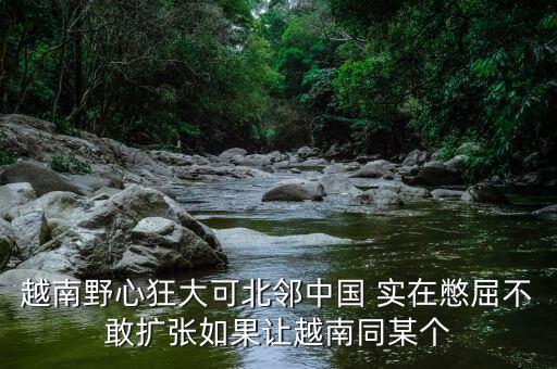 越南為什么那么狂，越南野心狂大可北鄰中國 實在憋屈不敢擴張如果讓越南同某個