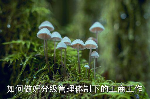 什么是分層分級(jí)管理，如何做好分級(jí)管理體制下的工商工作
