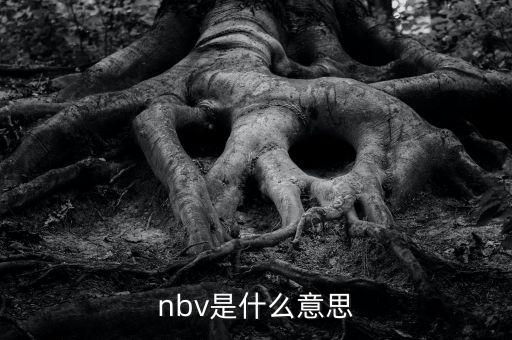 保險nbv是什么意思，nbv是什么意思