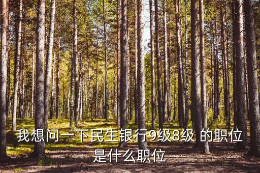 銀行評級8級是什么，銀行貸款評級
