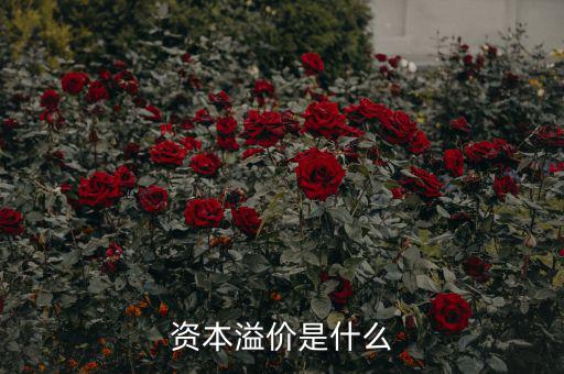什么是溢價，什么是資本溢價