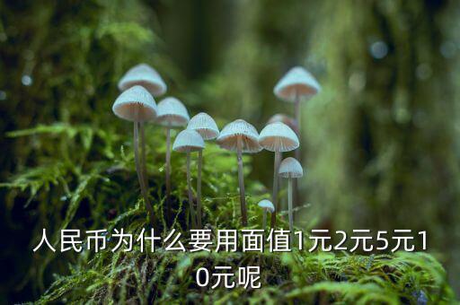 為什么人民幣面值，人民幣為什么要用面值1元2元5元10元呢