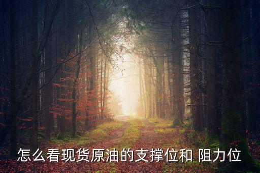 阻力位怎么看,阻力和支撐位互換關系