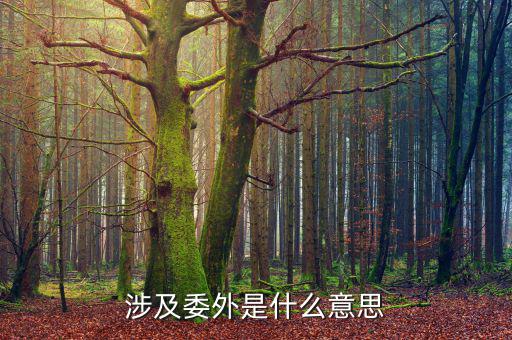 委外業(yè)務(wù)是什么意思，委外加工采購(gòu)是什么意思
