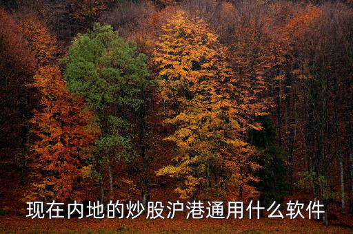 內(nèi)地炒港股用什么軟件，現(xiàn)在內(nèi)地的炒股滬港通用什么軟件