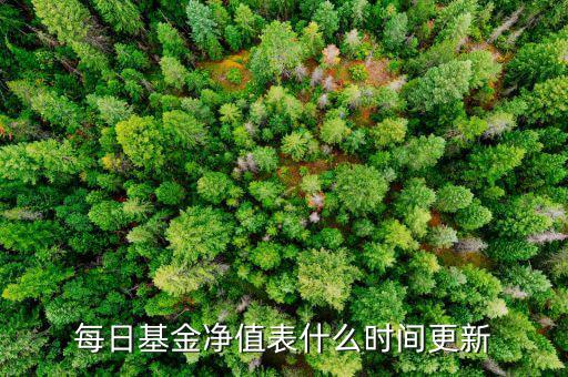 基金凈值什么時(shí)候更新，工商銀行網(wǎng)上銀行基金多長時(shí)間更新一次