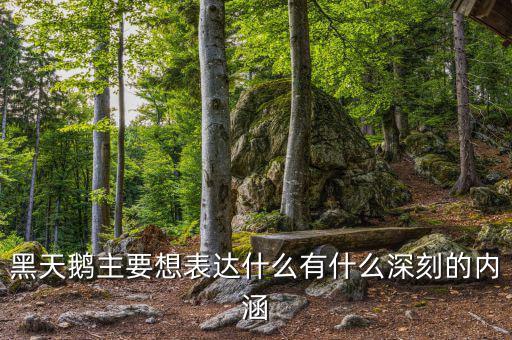 黑天鵝書說的是什么，黑天鵝主要想表達(dá)什么有什么深刻的內(nèi)涵