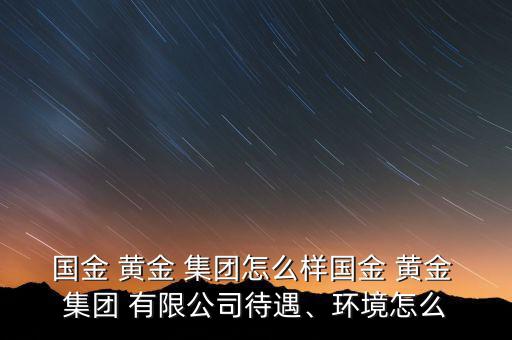 國(guó)金 黃金 集團(tuán)怎么樣國(guó)金 黃金 集團(tuán) 有限公司待遇、環(huán)境怎么