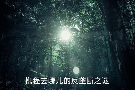 梁建章為什么離開攜程，攜程老板梁建章對公司的投訴難道只會說抱歉嗎這簡直有死