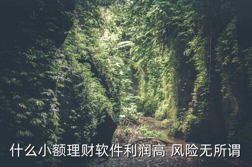 什么小額理財最安全，什么小額理財軟件利潤高 風(fēng)險無所謂