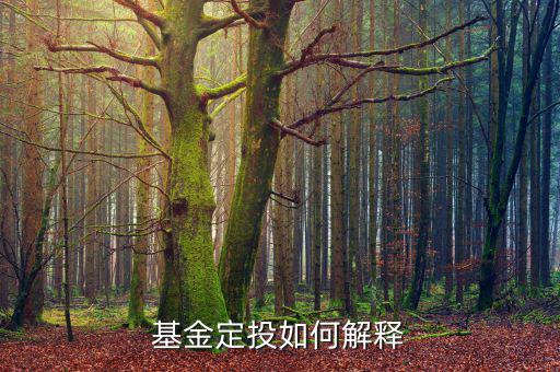 定投是什么，什么是定投基金
