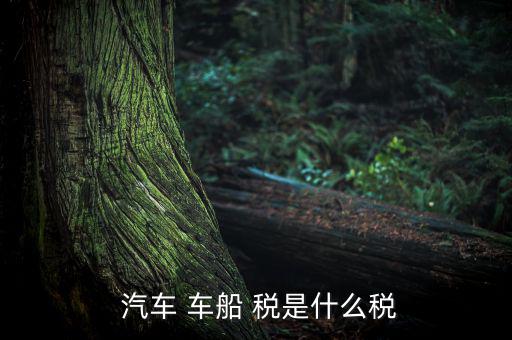 汽車車船稅是怎么樣,車船稅是對車輛、船舶征收的稅