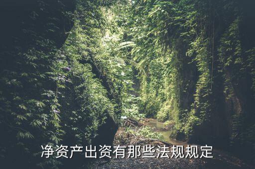凈資產出資有那些法規(guī)規(guī)定