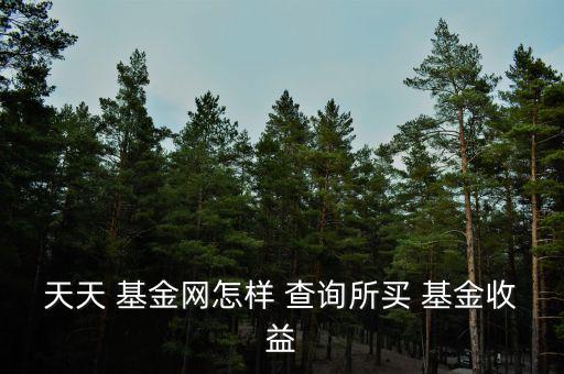 基金獲利怎么查詢(xún),如何查詢(xún)支付寶基金持有收益率?