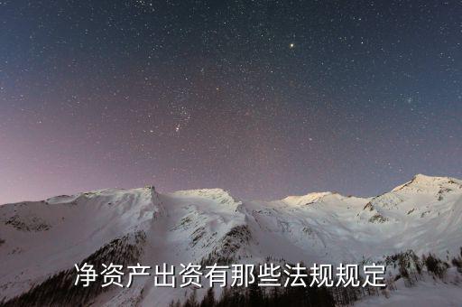 凈資產(chǎn)出資什么意思，股權(quán)比例所對(duì)應(yīng)的凈資產(chǎn)份額是什么意思
