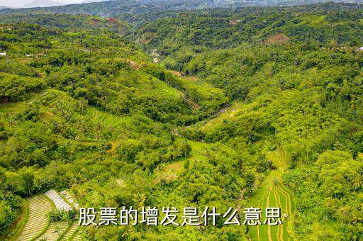 股票增發(fā)是什么意思，股票增發(fā)是什么意思