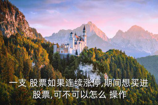 一支 股票如果連續(xù)漲停,期間想買進 股票,可不可以怎么 操作