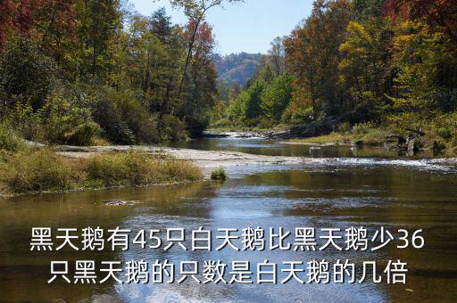 什么是黑天鵝，黑天鵝有45只白天鵝比黑天鵝少36只黑天鵝的只數(shù)是白天鵝的幾倍