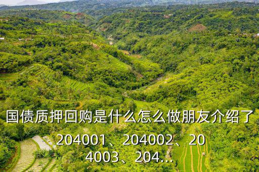 國債質(zhì)押回購是什么怎么做朋友介紹了 204001、204002、204003、204...