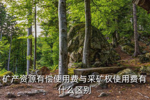 什么是采礦權(quán)價(jià)款資金占用費(fèi)，資金占用費(fèi)是怎么回事
