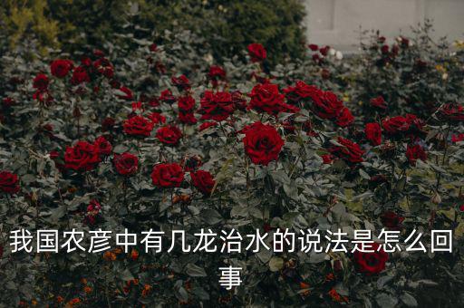 三龍治水是什么意思，幾屠共豬 幾龍治水做何解
