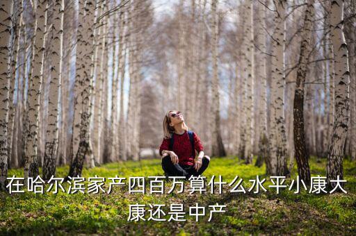 在哈爾濱家產(chǎn)四百萬(wàn)算什么水平小康大康還是中產(chǎn)
