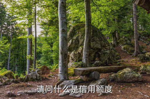 信用額度是什么意思，信用額度是什么意思