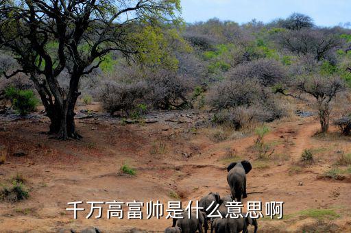 千萬(wàn)身家是什么概念，千萬(wàn)高富帥是什么意思啊