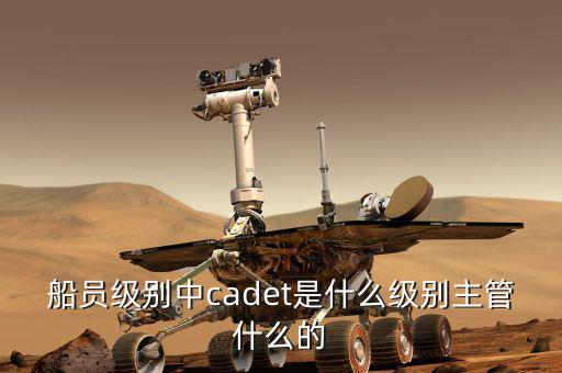 中船總經(jīng)理什么級別，中國船舶總公司總經(jīng)理啥級別