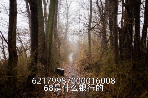 中債資信屬于什么銀行，6217998700001600868是什么銀行的