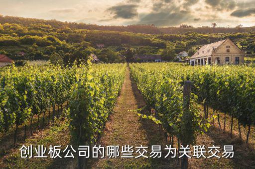 關(guān)聯(lián)交易多存在與什么的公司，哪些交易屬于上市公司關(guān)聯(lián)交易求解答