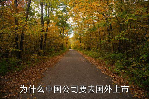 中國企業(yè)為什么要在境外上市，為什么有公司要到境外上市