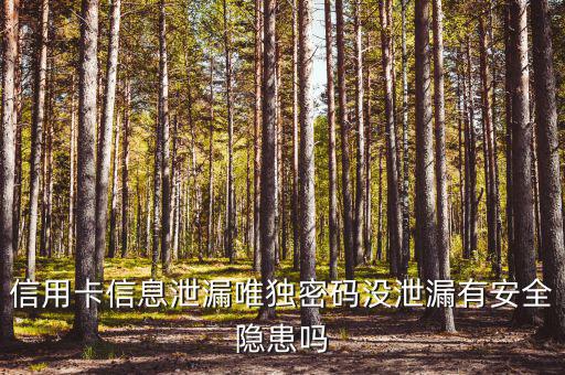 信用卡信息泄露有什么風(fēng)險，信用卡信息泄漏唯獨(dú)密碼沒泄漏有安全隱患嗎
