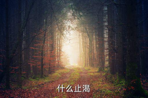 止渴指什么動(dòng)，什么止渴
