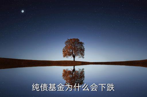 為什么純債基也會(huì)下跌，純債基金為什么會(huì)下跌