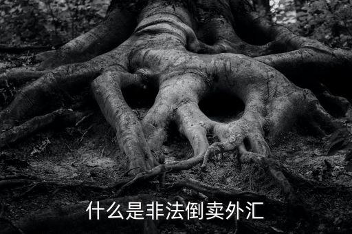 為什么會非法買賣外匯，私下交易外幣為什么是違法行為