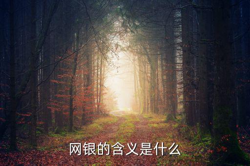 網(wǎng)銀存入代表什么意思，網(wǎng)銀的含義是什么