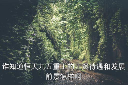 恒天九五什么時(shí)候上市，誰(shuí)知道恒天九五重工的工資待遇和發(fā)展前景怎樣啊