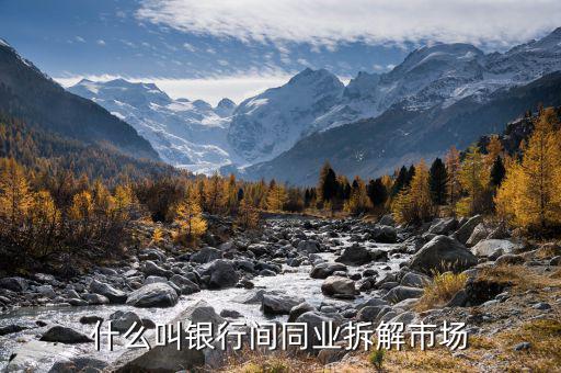 同業(yè)市場(chǎng)是指什么，想問一下旅游同業(yè)批發(fā)是什么意思