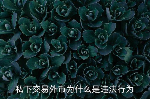 私下交易外幣為什么是違法行為