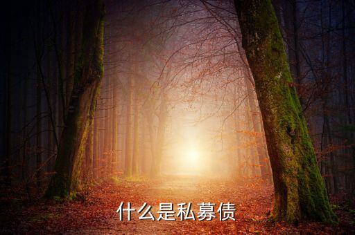 什么是小貸公司私募債，什么是私募債