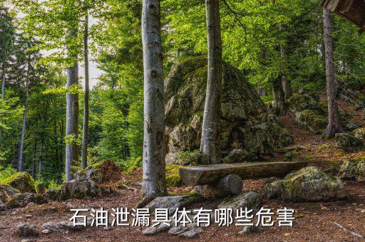 原油泄漏影響什么部門，石油泄漏具體有哪些危害