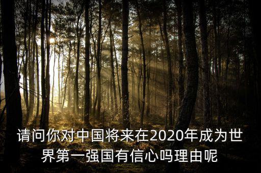 請(qǐng)問你對(duì)中國將來在2020年成為世界第一強(qiáng)國有信心嗎理由呢
