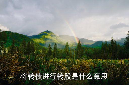 什么是債轉(zhuǎn)股，將轉(zhuǎn)債進(jìn)行轉(zhuǎn)股是什么意思