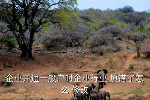 易稅門單位信息填錯(cuò)了怎么修改,注冊資本和行業(yè)不允許修改