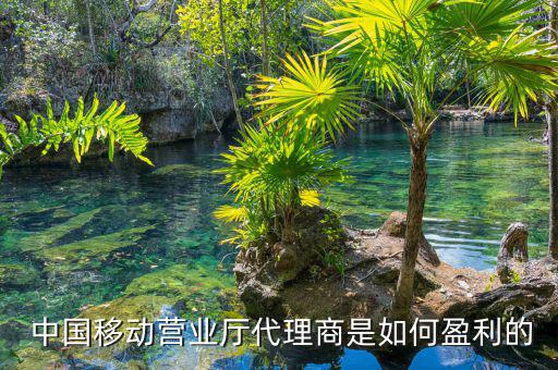 中國(guó)移動(dòng)怎么賺錢(qián),國(guó)企開(kāi)移動(dòng)營(yíng)業(yè)廳需要滿(mǎn)足哪四點(diǎn)?