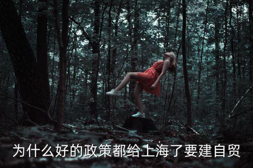 為什么要設(shè)立上海自貿(mào)區(qū)，上海自貿(mào)區(qū)成立的目的