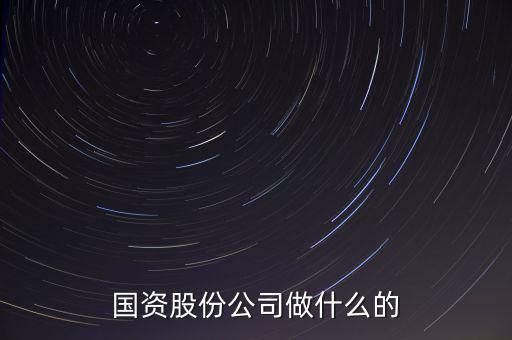 國資公司是做什么的，國資股份公司做什么的